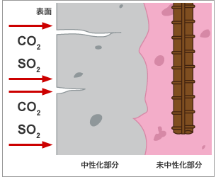 図版